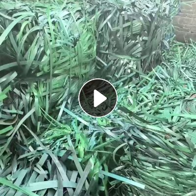 出售PET打包带毛料，社会料，长期有货