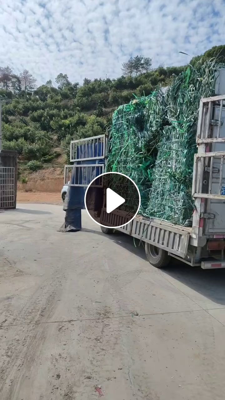 长期求购PET打包带压块，做破碎用