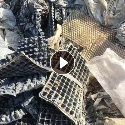 出售育苗盘毛料，PVC跟pet的都有，月供30吨