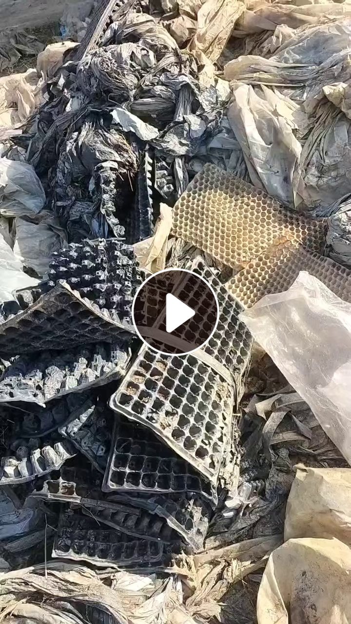 出售育苗盘毛料，PVC跟pet的都有，月供30吨