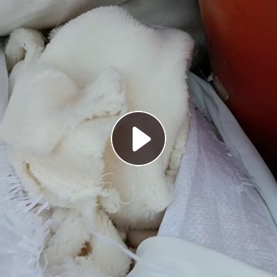 长期出售涤纶废布，涤纶拉丝布，有白色杂色，可以做切片造粒用，现货10吨左右，货在浙江湖州