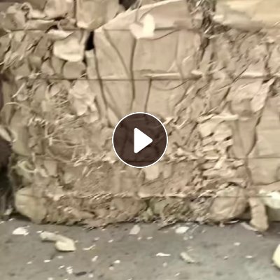 出售本色餐盒纸一车，甘蔗渣浆板含量2/3