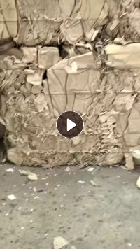 出售本色餐盒纸一车，甘蔗渣浆板含量2/3