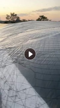 出售大棚膜废料