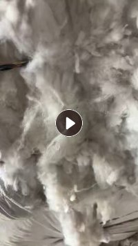 长期出售开松好的丝棉，纯枕芯料，丝棉开花棉，货在河南郑州