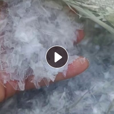 大量出售PET吸塑盒破碎料，A级B级分开粉，月供500吨