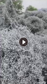 出售6系铝刨花，现货80吨