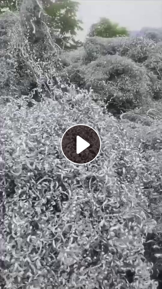 出售6系铝刨花，现货80吨