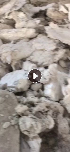 厂家长期收购淋膜纸浆，纸塑分离纸浆，纤维长尾浆