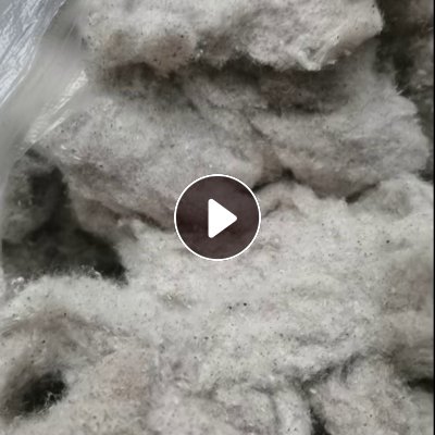 长期大量求购纯棉鱼籽棉，要求杂质小绒长，需求量大