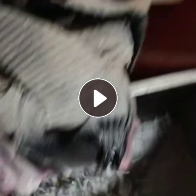 出售纯透析桶颗粒，过150目网包吹小白袋，无味无精点