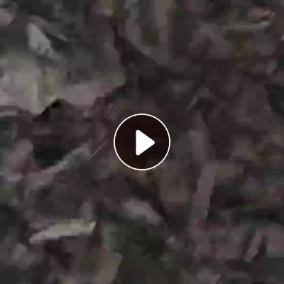 长期出售迷彩碎料，旧衣服碎料，可以开花用， 现货1800吨