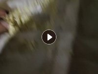 出售PET植绒边角破碎料，洗漱酒盒破碎料，可拉片用