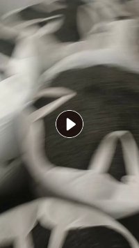 出售水果筐破碎料，黑、白都有，月供100吨