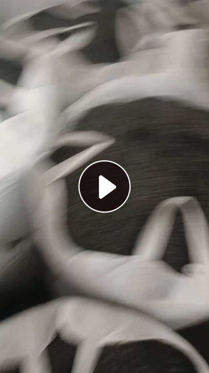 出售水果筐破碎料，黑、白都有，月供100吨