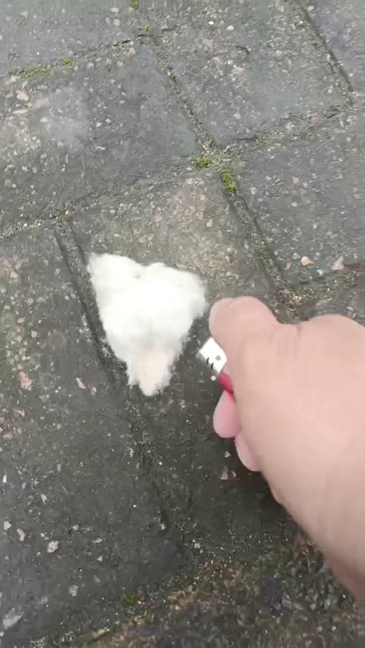 长期出售毛巾厂下来的纯棉飞花，烘干机吹出来的，有白色的杂色的，每个月有20吨，货在江苏淮安