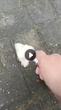 长期出售毛巾厂下来的纯棉飞花，烘干机吹出来的，有白色的杂色的，每个月有20吨，货在江苏淮安