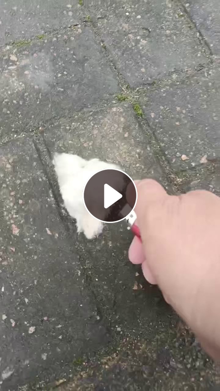 长期出售毛巾厂下来的纯棉飞花，烘干机吹出来的，有白色的杂色的，每个月有20吨，货在江苏淮安