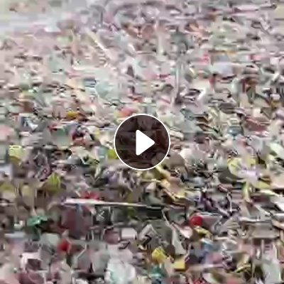 出售PP打包带破碎料，全漂，沉水，乳白，透明的都有