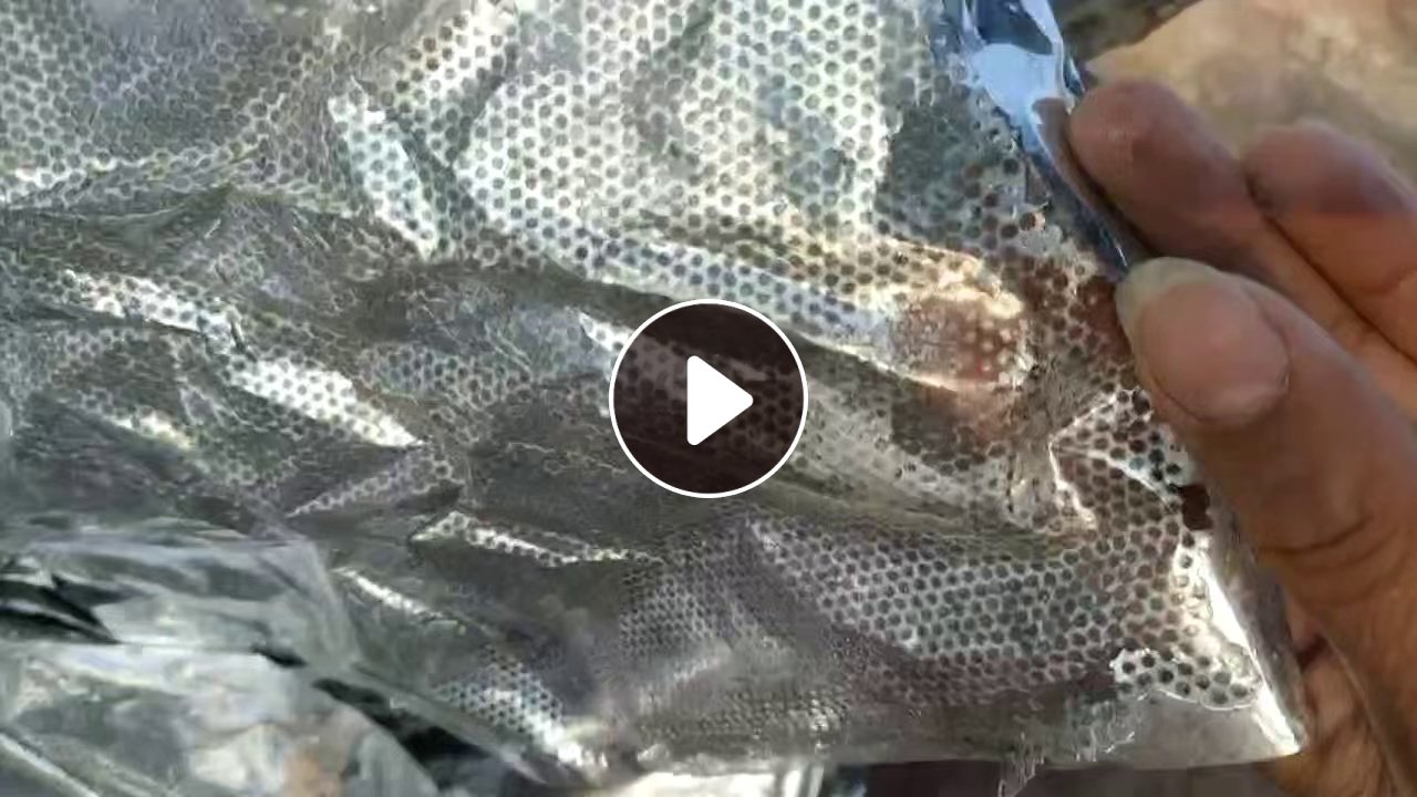 常年出售PET镀铝膜，7丝厚，月供100吨以上