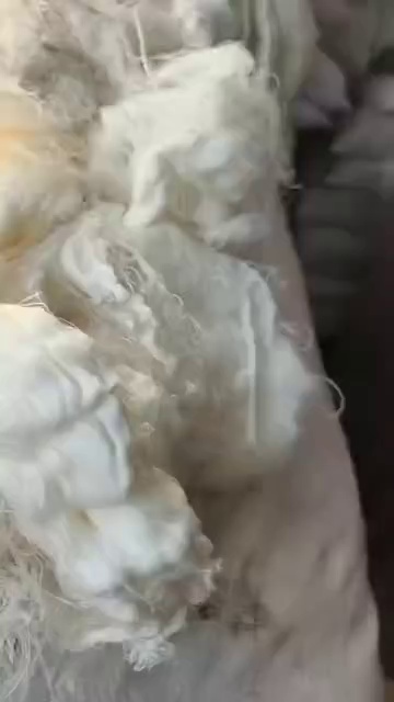 长期出售人造棉含锦纶的废纱，人棉废纱，月供十几吨