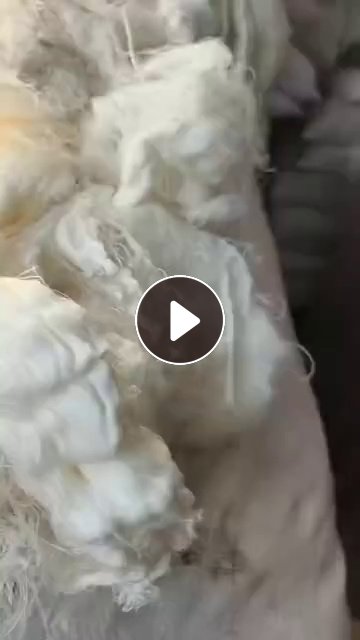 长期出售人造棉含锦纶的废纱，人棉废纱，月供十几吨