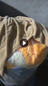 长期出售涤纶废布涤纶绒布珊瑚绒废布，可以造粒用，每个月有十几吨，货在河北保定