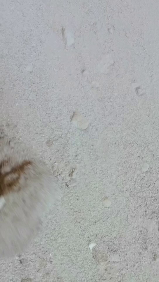 出售PVC大小管，塑钢甩干机沫子，现货一挂车