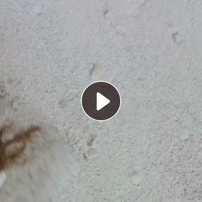 出售PVC大小管，塑钢甩干机沫子，现货一挂车