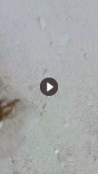 出售PVC大小管，塑钢甩干机沫子，现货一挂车