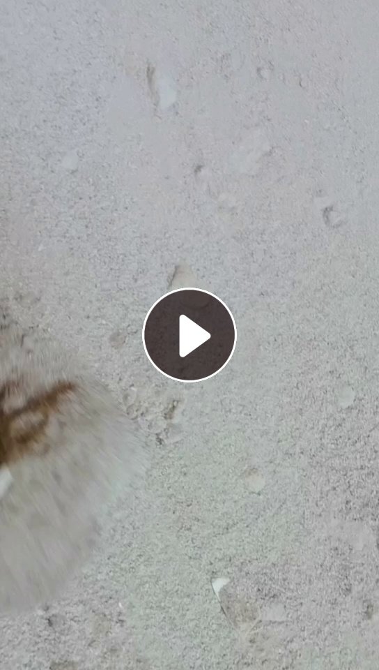 出售PVC大小管，塑钢甩干机沫子，现货一挂车