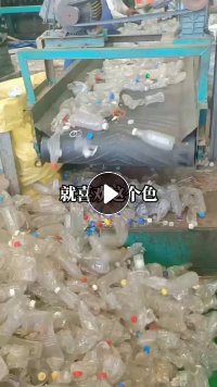 出售pet脱标瓶砖料，白瓶砖，月供200吨