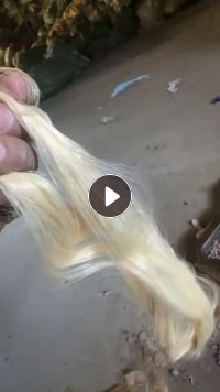 长期出售涤纶布泡，氨纶布泡，浅色的，纯睡衣绒，玩具绒做出来的