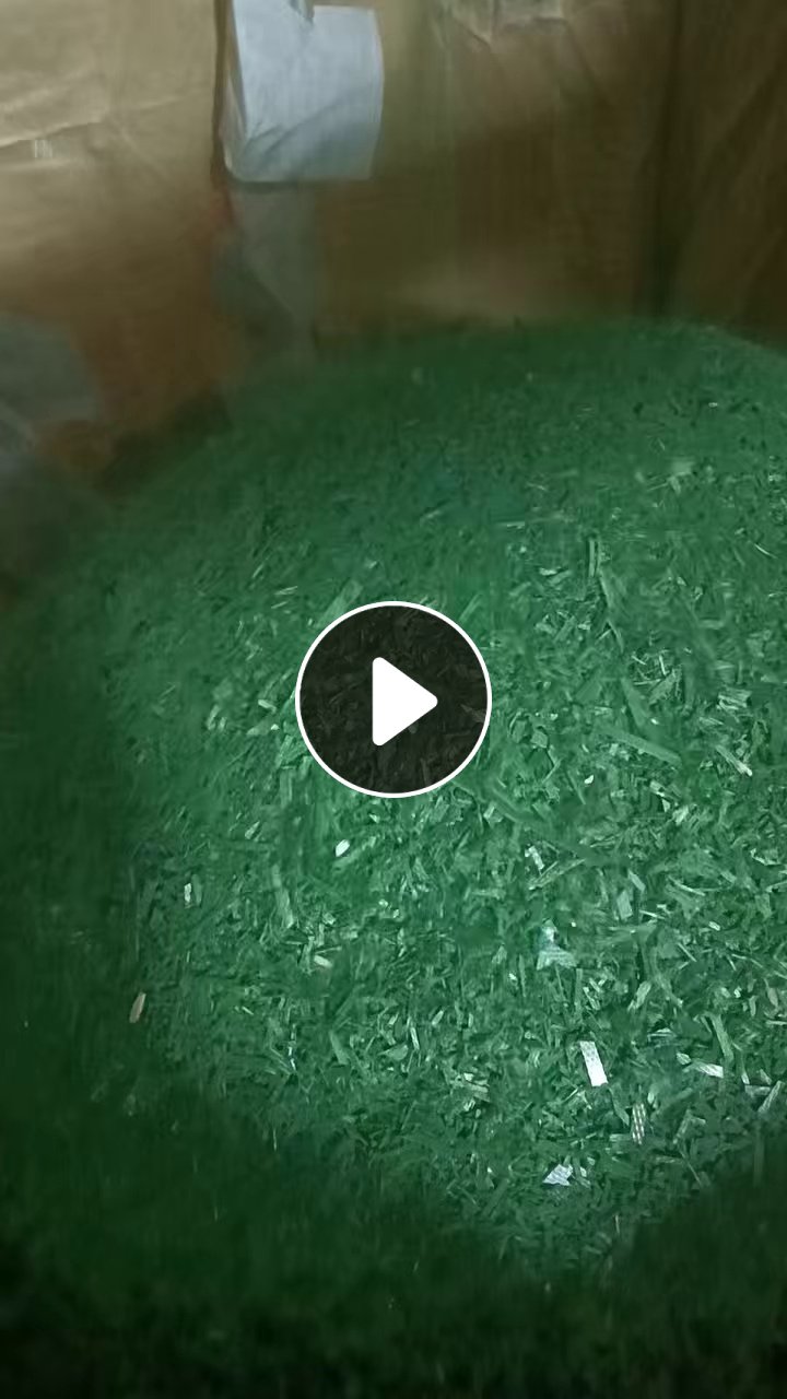 出售PET打包带破碎料，干破的，现货1挂车