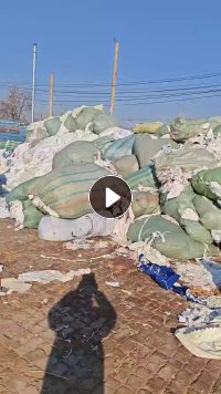 长期回收开花布废布涤棉布，只要白色，开花后做填充用，每个月需要300多吨，厂在河北石家庄