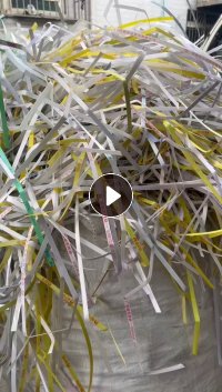 出售PP打包带毛料，基本全漂，长期有货