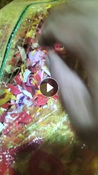 出售分色丙破碎料，含些共聚，过池甩干没过风选，毛料手工分拣货