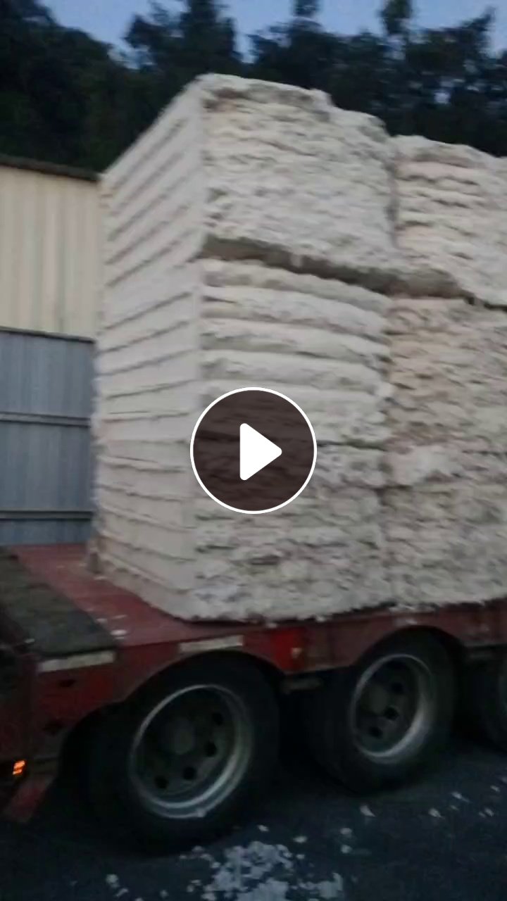 长期回收吹毛厂出来的棉 有多少要多少海绵的不要