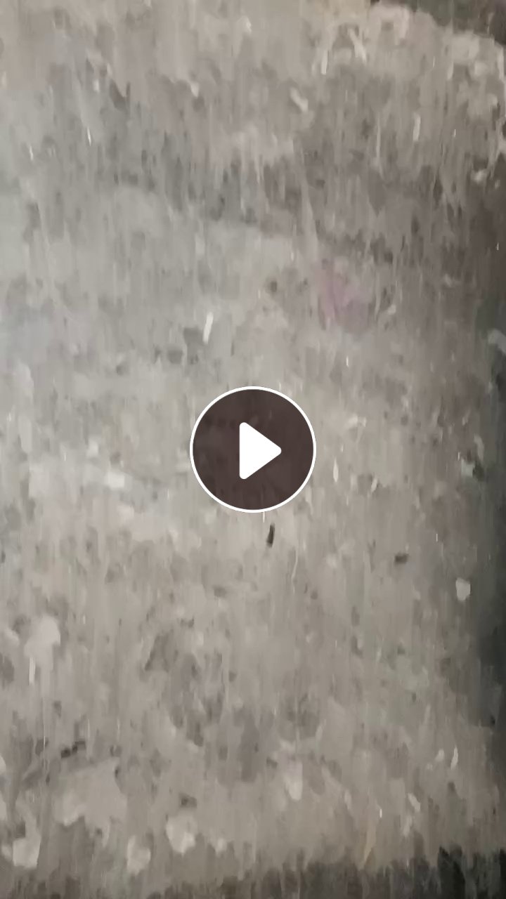 出售电子粉条，炼油用，用风吹出来的，比较干净，挑过一遍，月供200吨