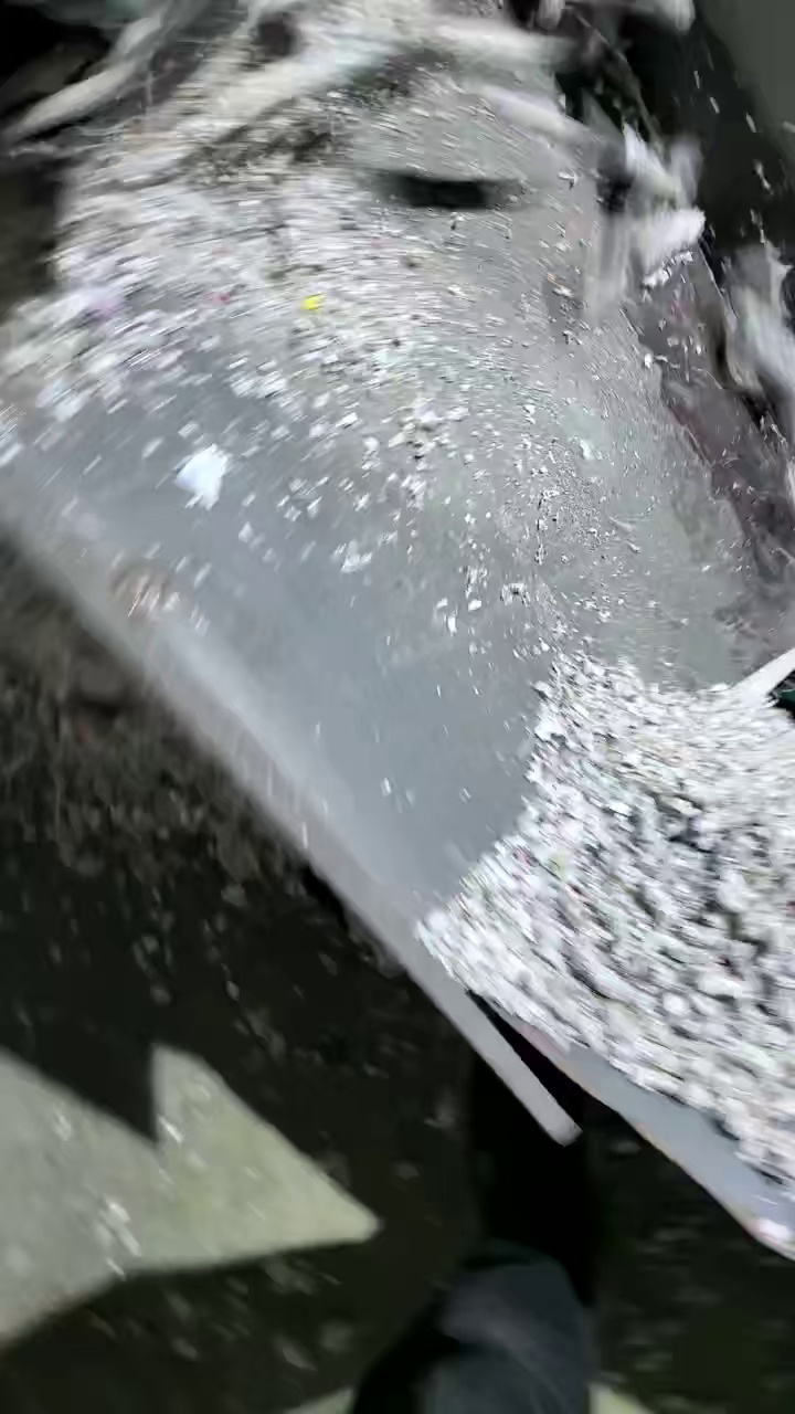 出售PP商标纸毛毛虫