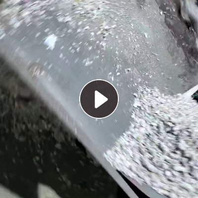 出售PP商标纸毛毛虫