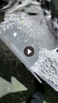 出售PP商标纸毛毛虫