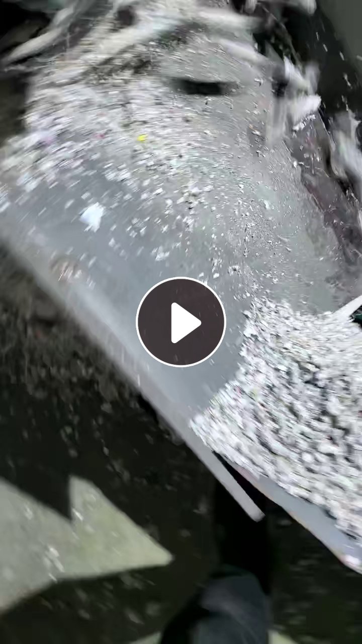 出售PP商标纸毛毛虫