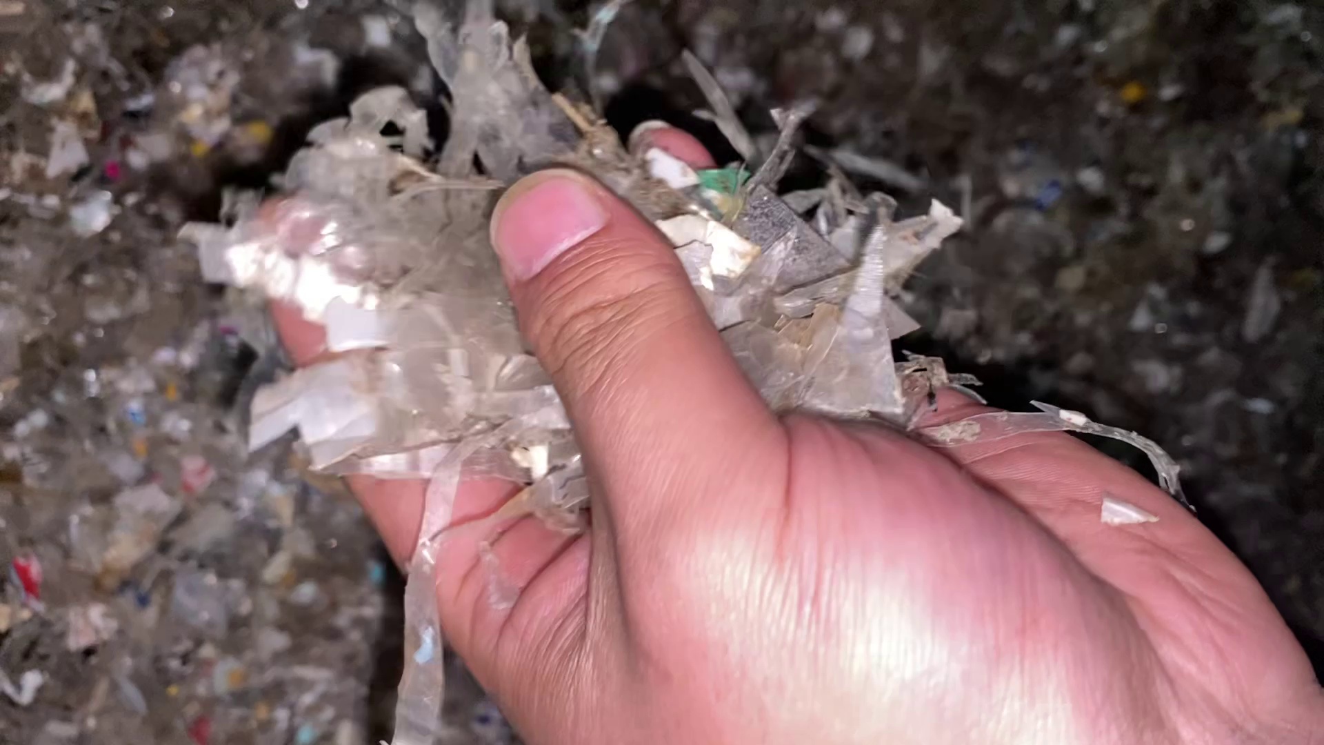 长期大量求购餐盒沉水破碎料