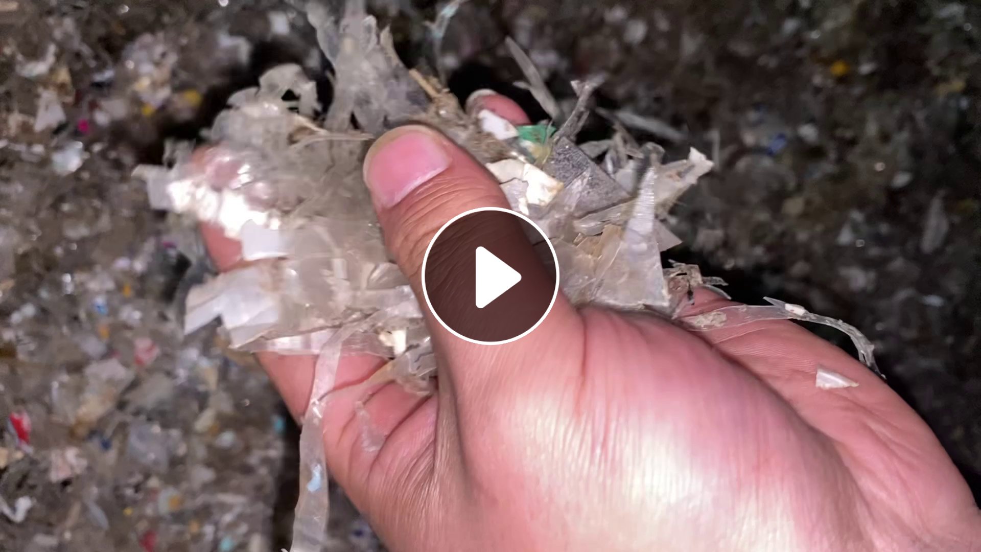 长期大量求购餐盒沉水破碎料