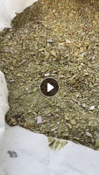 出售PVC墙板破碎料，纯黄发泡，干破的，现货二十几吨