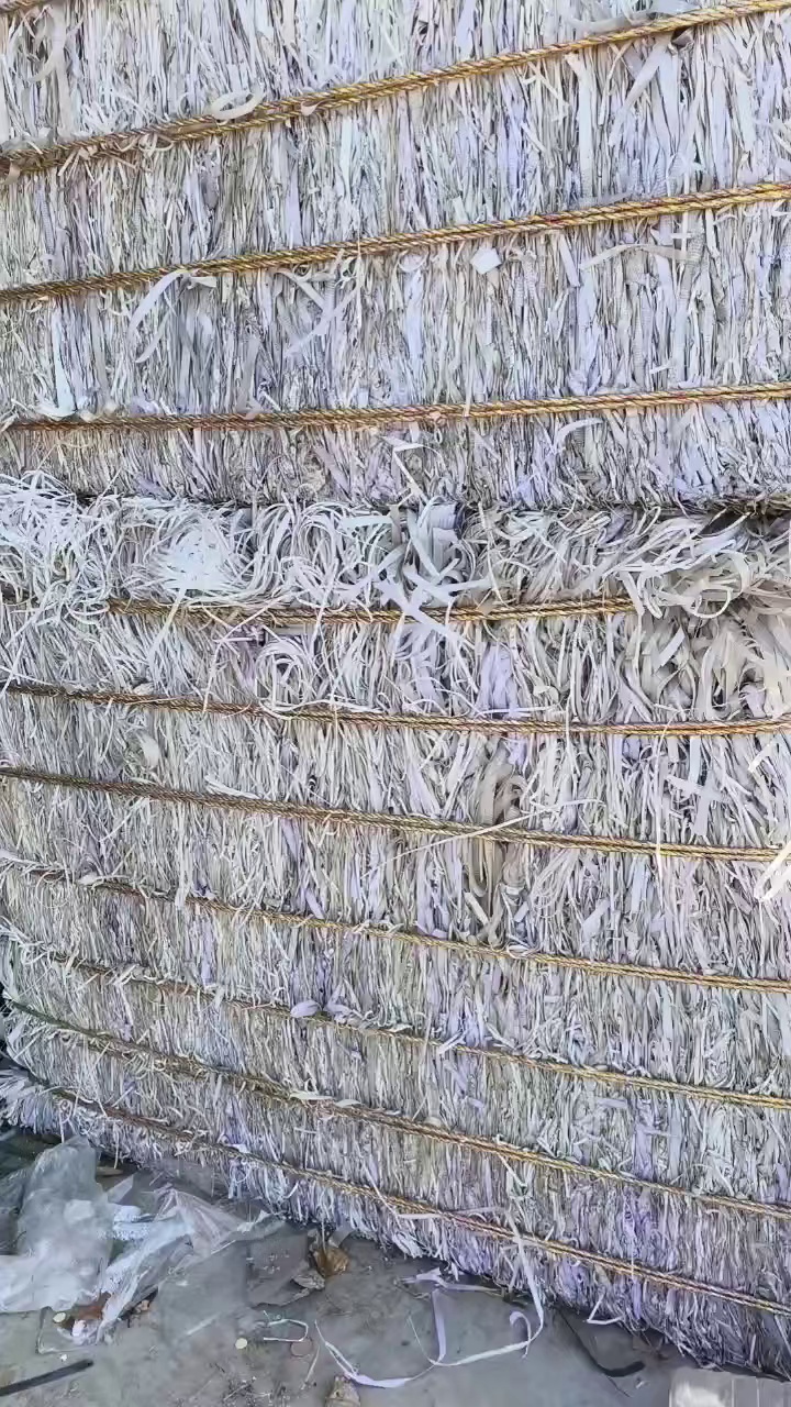 出售PP打包带废料，透明的，杂色都有