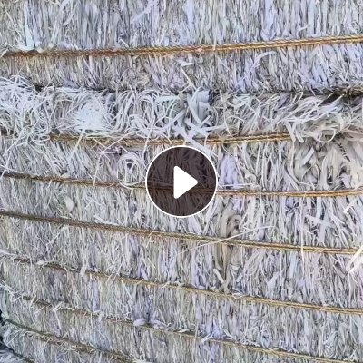 出售PP打包带废料，透明的，杂色都有