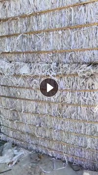 出售PP打包带废料，透明的，杂色都有