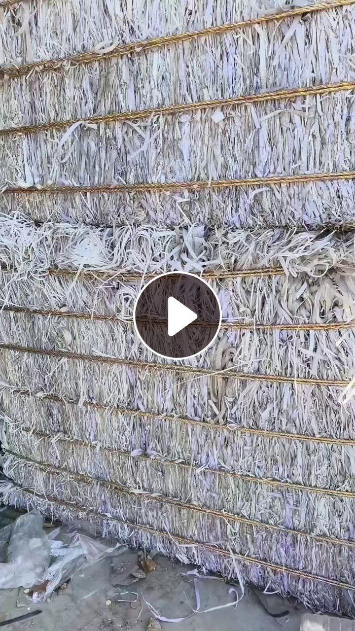 出售PP打包带废料，透明的，杂色都有